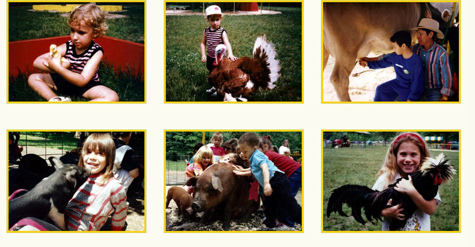 New York and vicinity for kids: Green Meadows Farm New Jersey