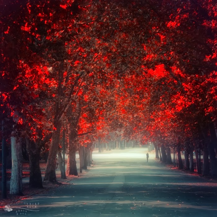 Сказочная страна