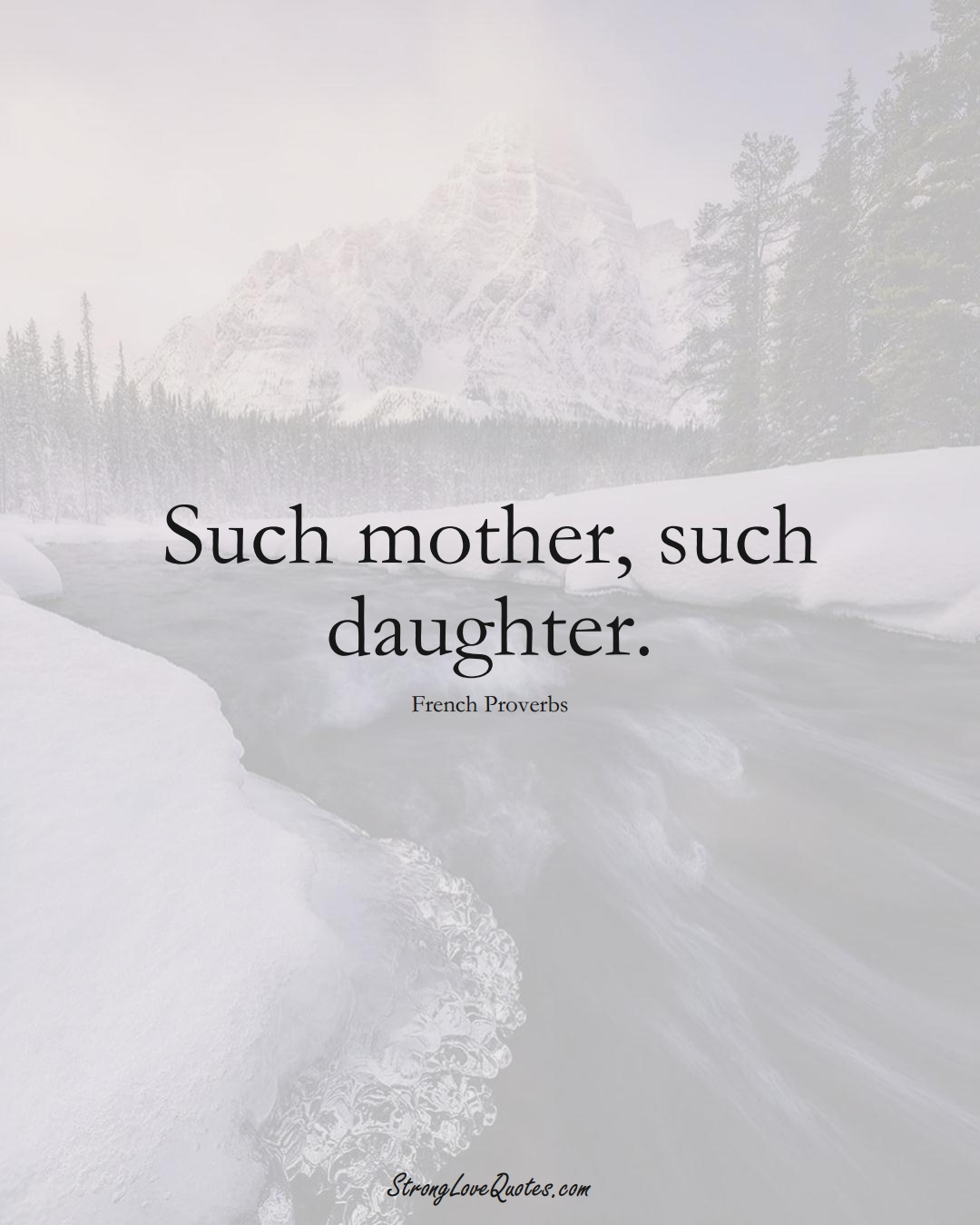 Such mother, such daughter. (French Sayings);  #EuropeanSayings