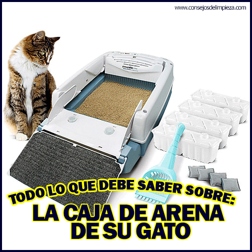 como se limpia la arena para gatos