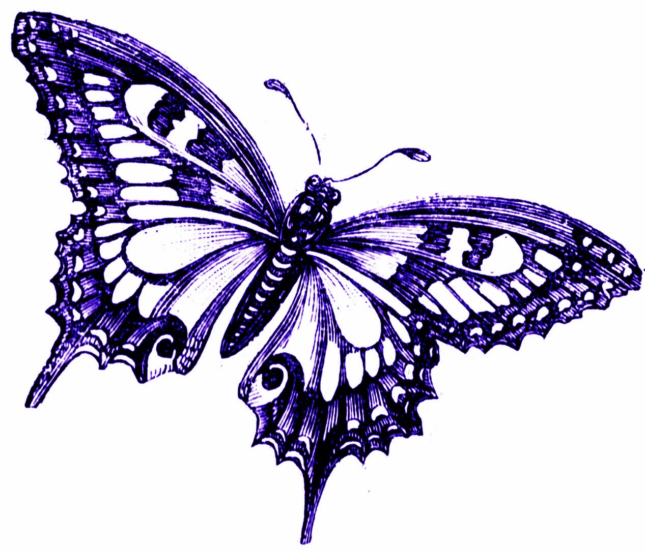 free-vintage-digital-stamps-free-vintage-digital-stamp-pretty-butterfly