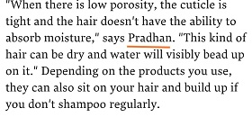 hair porosity