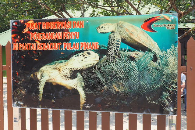 Backpacking Travel Outdoor Adventure 2019 Pantai Kerachut 8km Hike