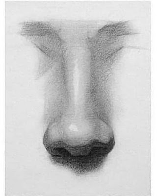"Nose drawing by icuong "