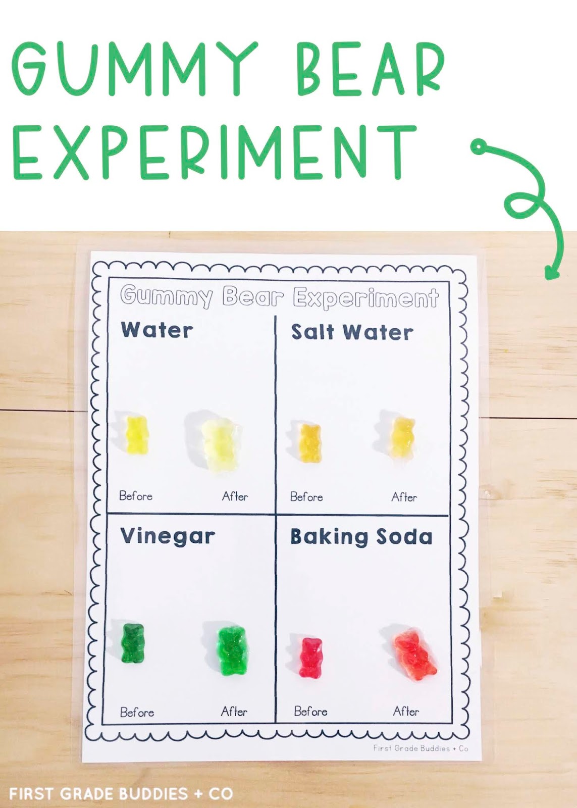 Gummy Bear Experiment Printable