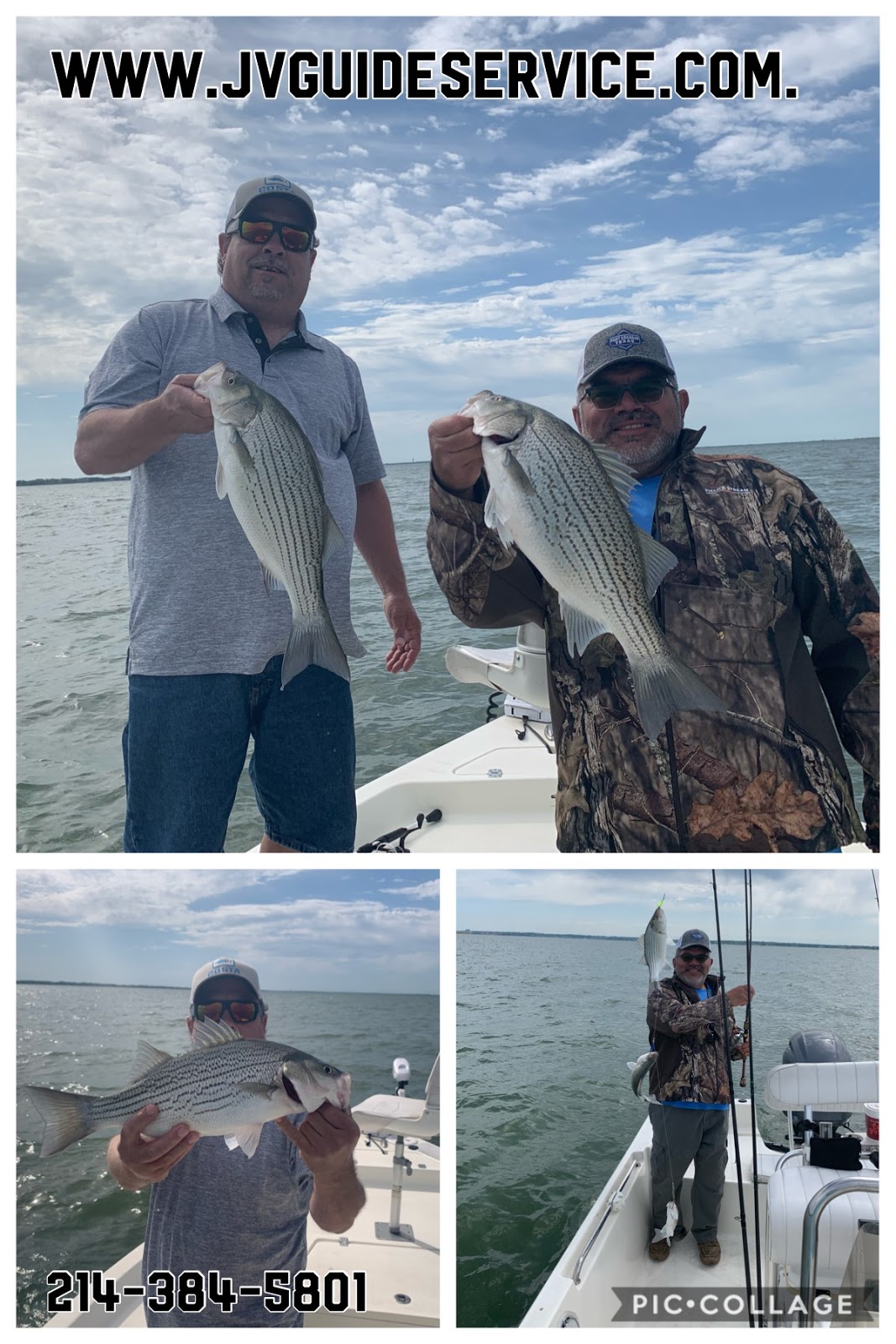 Lake Ray Hubbard Fishing ReportsWhite BassHybrid Striped Bass Lake