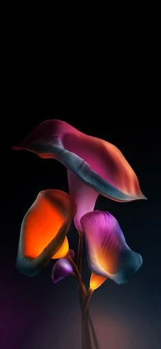 Wallpaper Bunga Tulip Untuk Hp Sony