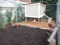 chicken run sand coop beach mulch combo mud chickens runs muddy fix spread dry duck rain