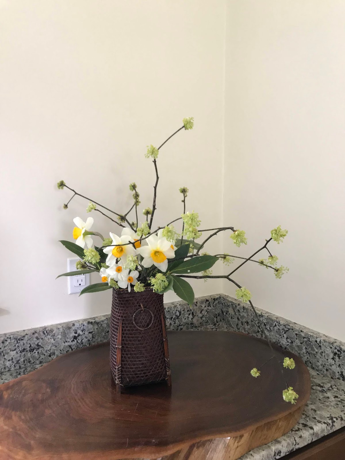 Orchids and Ikebana Ikebana class canceled Ikebana at Home