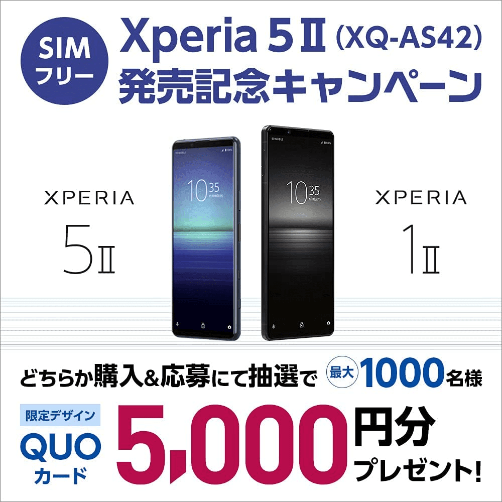 超美品】Xperia 5 II グレー SOG02 SIMロック解除済 30 | www.jarussi