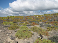 Typical Cloud Covering on Santa Fe Island Galapagos