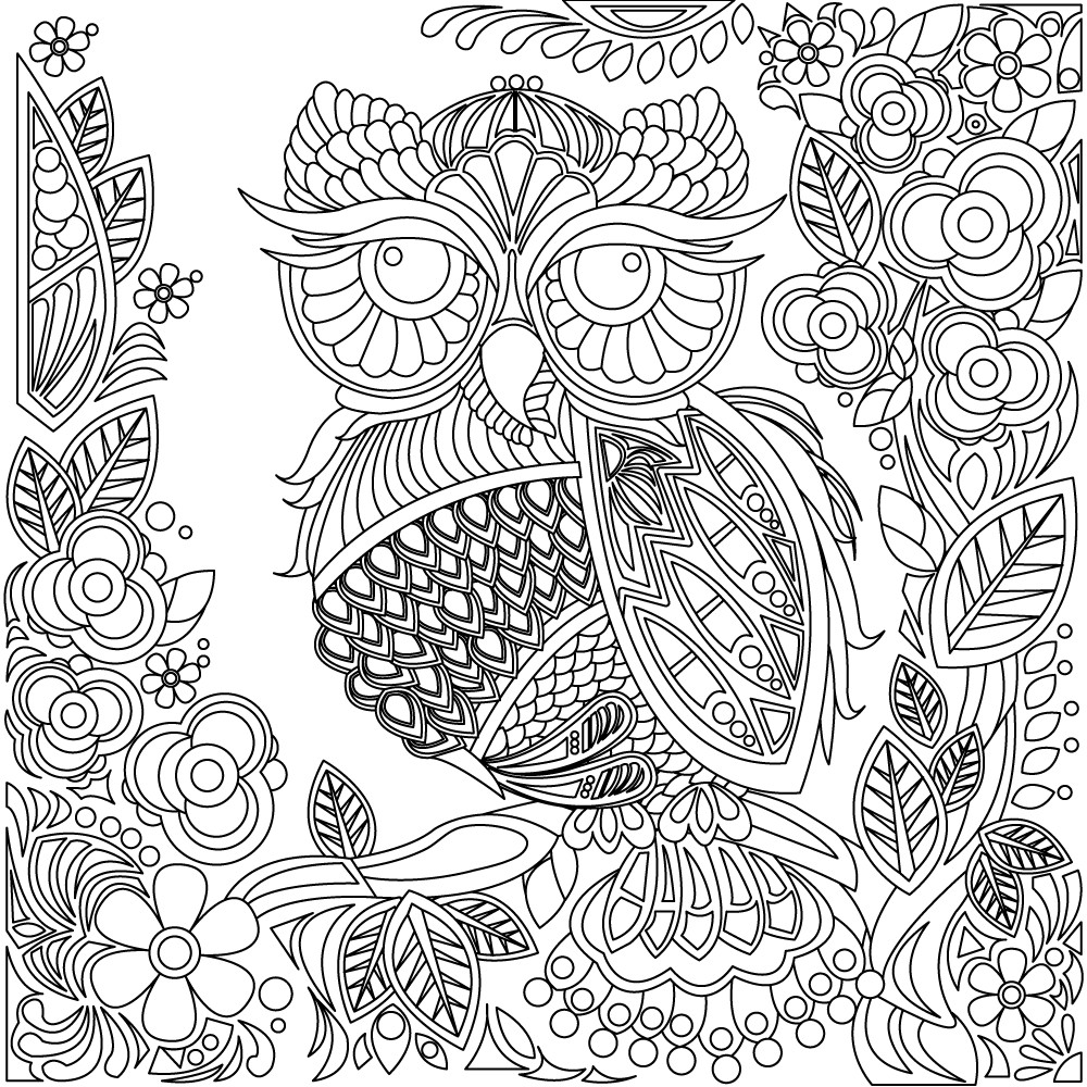 Owl Coloring Pages For Adults ~ Coloring Pages