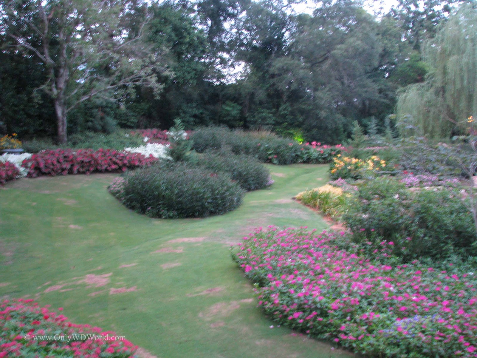 Victoria Gardens In Disney World's Epcot Pay Tribute To The Butchart Gardens Disney World Blog