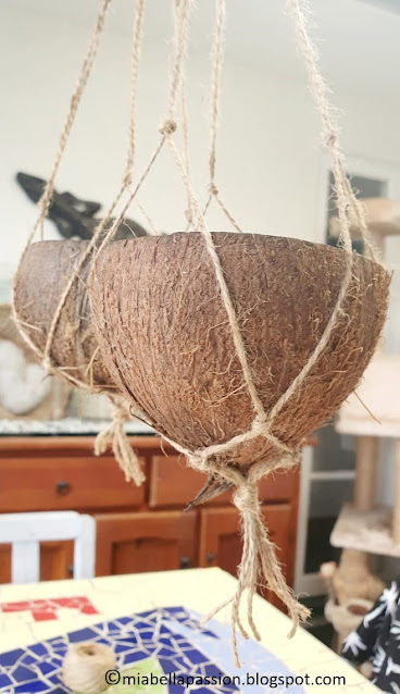 Coconut Hanging Planters