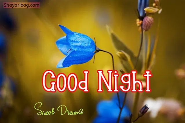 Good Night Flowers HD Photos Good Night Flowers HD Photos