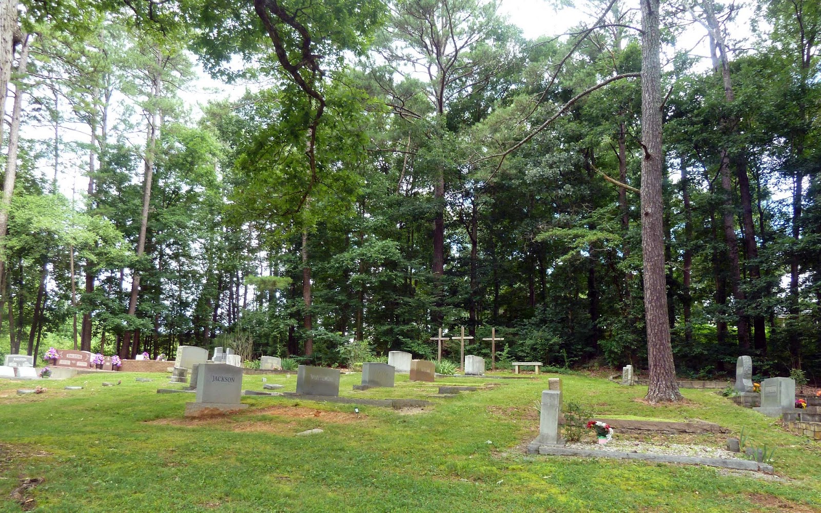 Celebrating Family Stories Nana, why do you write stories about dead