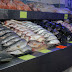 Veracruz, en los primeros lugares en producción pesquera
