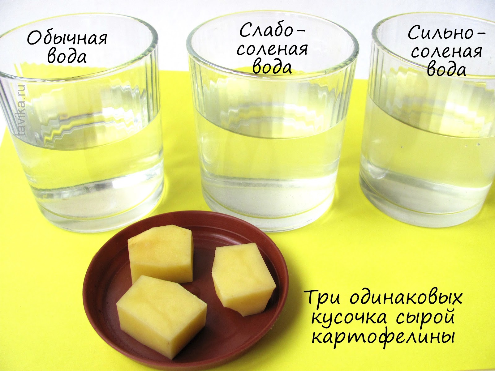 В картофеле есть вода. Опыты с соленой водой. Эксперименты с соленой водой для дошкольников. Эксперименты с солью для дошкольников. Опыты для детей в домашних условиях.