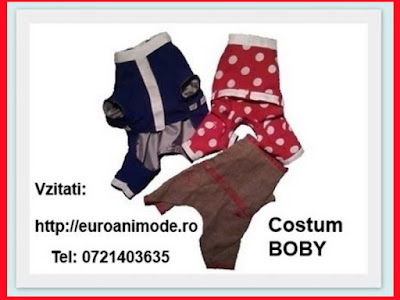 Costume
