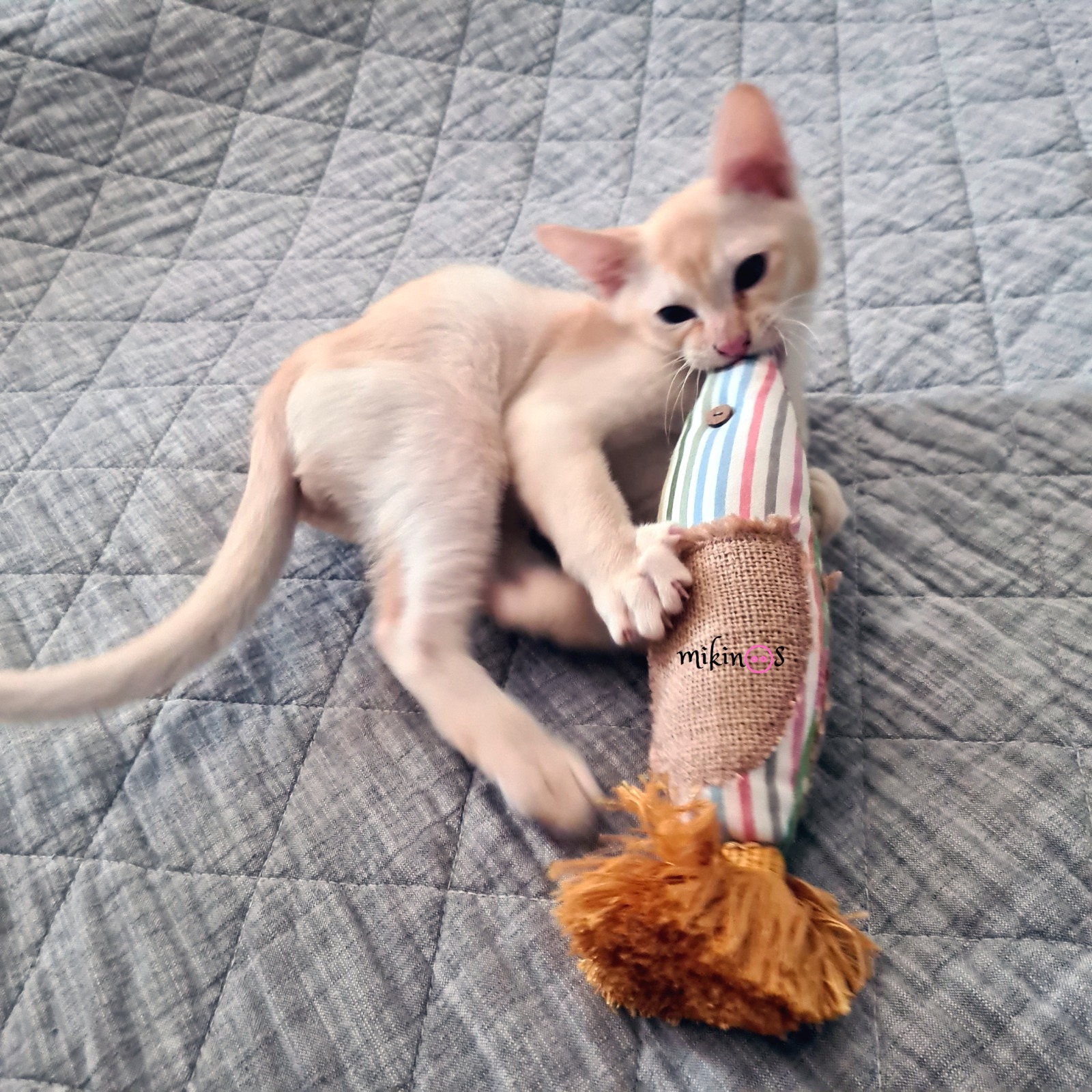 DIY cat toy fish; cat toy tutorial