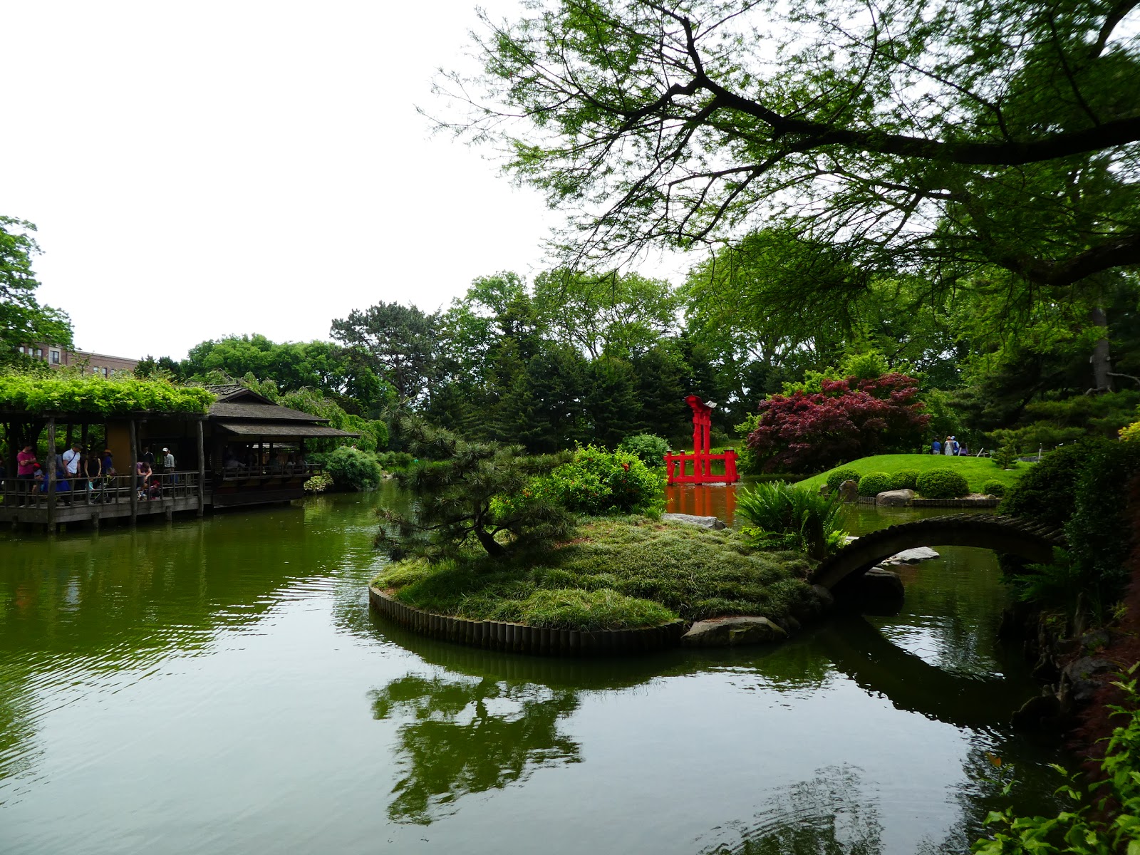 Cuaderno de viajes: New York, el Jardín Botánico de Brooklyn