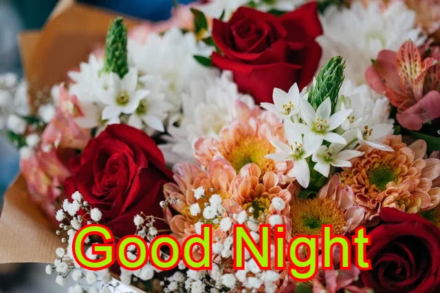 Good Night HD Images Good Night HD Images