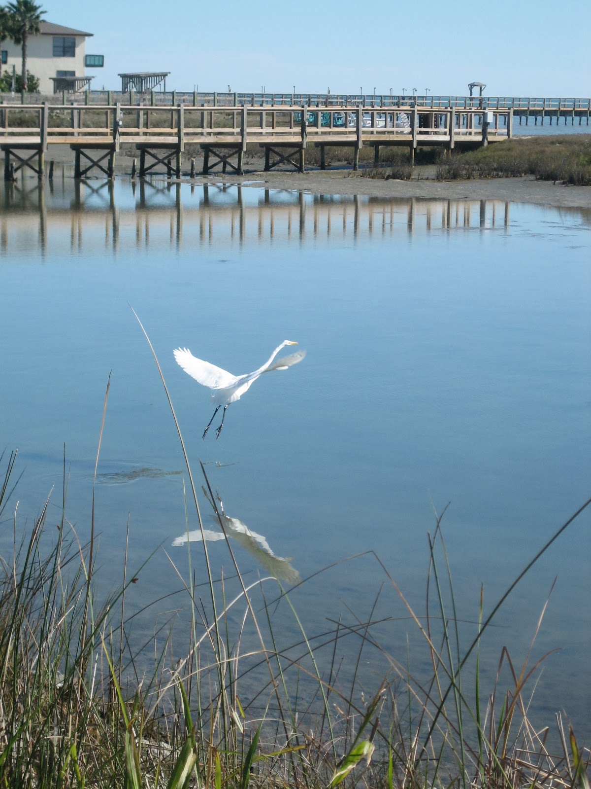 Cummings...and goings...: Bay View RV Resort, Rockport, TX - December ...