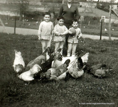 Photo ancienne noir et blanc, familles à la campagne. Photo ancienne noir et blanc, familles à la campagne.
