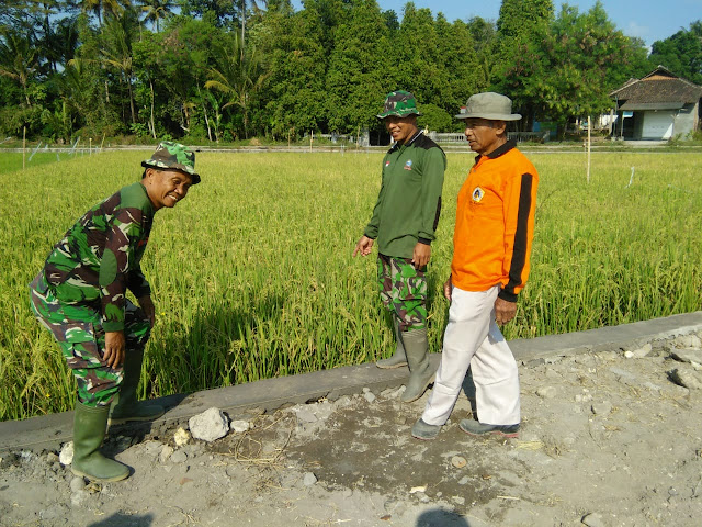 Petani Desa Jimbung Senang Jalan Kesawah Akan Dibetonisasi Satgas TMMD Reg 105 Kodim Klaten   