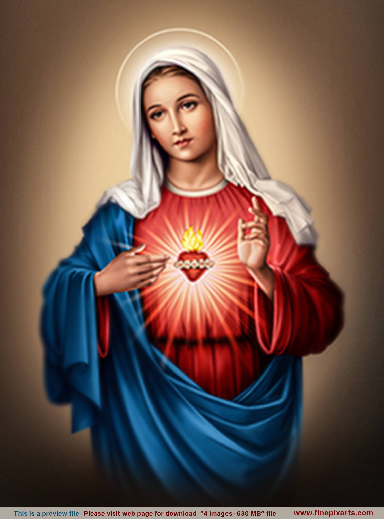 Immaculate Heart of Mary_Dark_170 MB