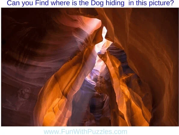 Hidden Animals Picture Puzzles: Find Hidden Dog