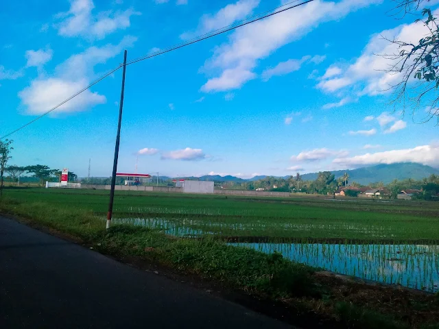 Desa Karangdoro Banyuwangi