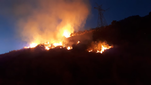 Πυρκαγιά στην περιοχή της Σαγιάδα Θεσπρωτίας