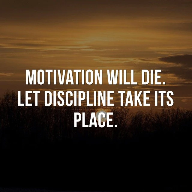 Motivation will die, let discipline take its place. - Picture Quotes