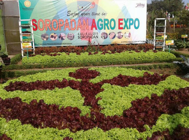 Soropadan Agro Expo 2019