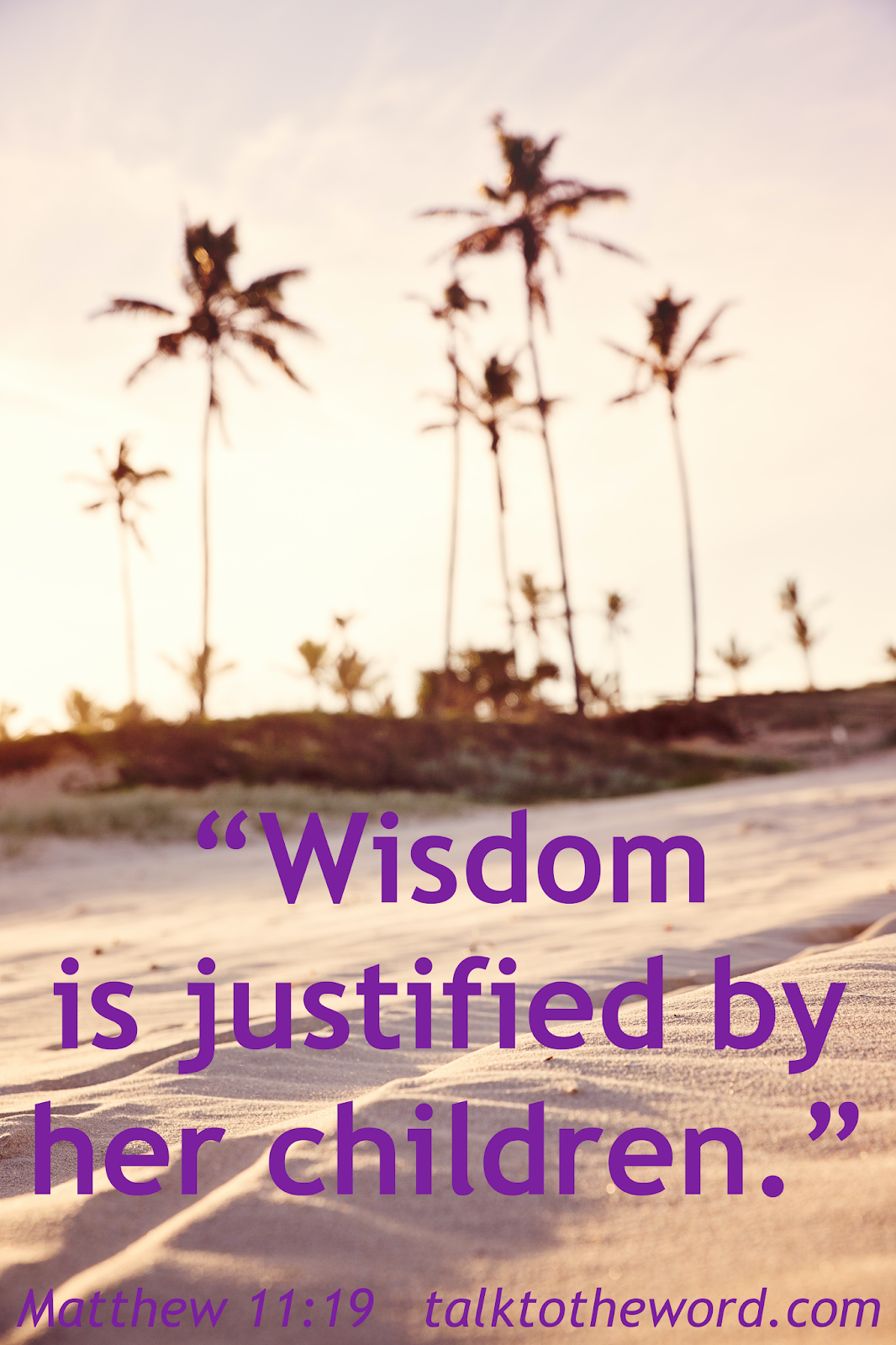 Matthew 11 18 19 matthew-28-1-2-5-6-wellspring-christian-ministries