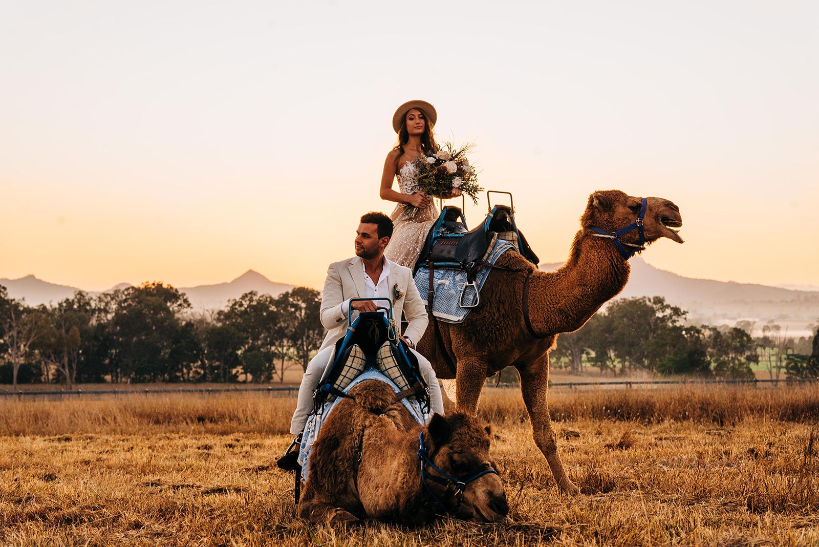 to the aisle australia | champagne at sunrise summer land camels shoot