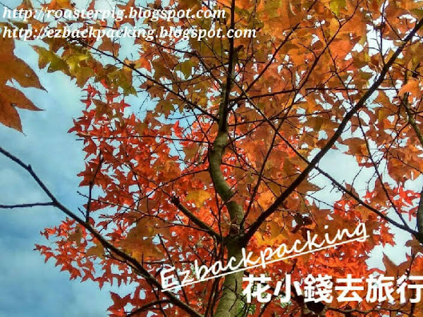 2021年12月最新大棠紅葉特別交通安排: 省時省力去楓香林