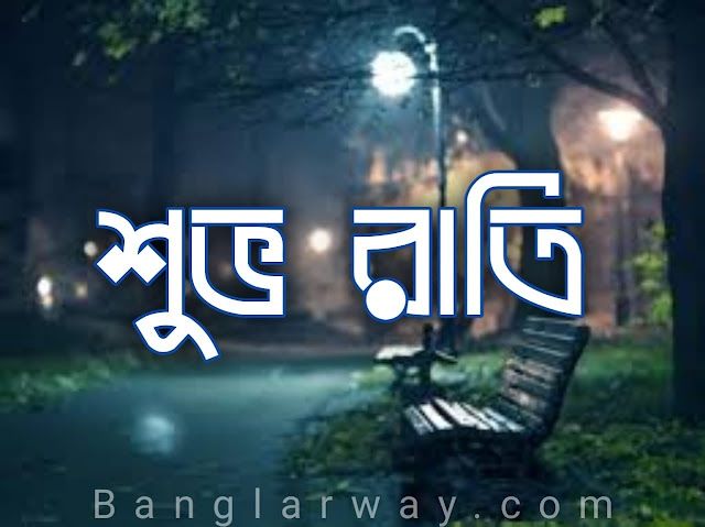 Bangla Good Night Image, Good Night Shayari image