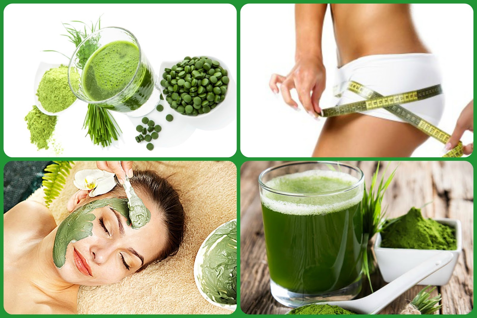 Спирулина как похудеть быстро Спирулина как похудеть быстро