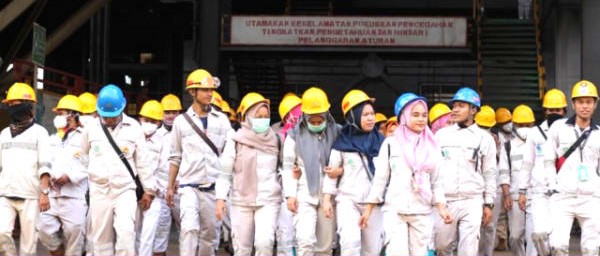 Kawasan Industrial Park Berbasis Nikel Akan Hadir di Sulawesi Tenggara
