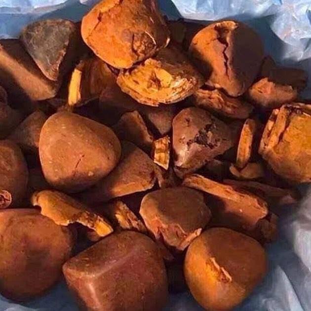 Cálculos biliares de vaca