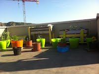 Con minúsculas: más jardineras caseras