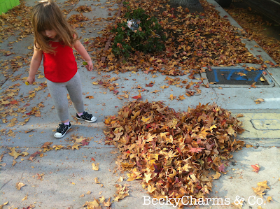Fall leaves in San Diego in a heart shape from el Barrio Logan, fall, autumn, leaves, san diego, beckycharms