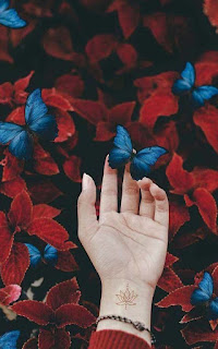 خلفيات الواتساب للتحميل