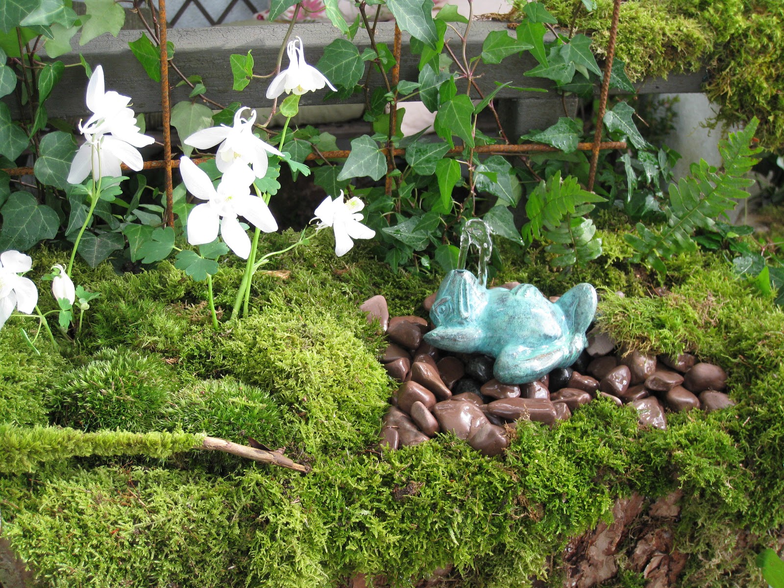Trädgård och design för alla: sense garden trädgårdsdesign