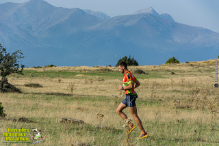 KAL 8862 | Lamianow.gr