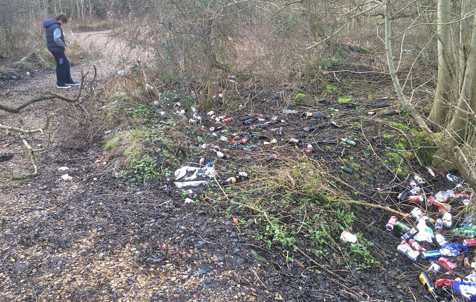 Speedie's Blog: Terryland Forest Park: Outdoor Classroom, Outdoor ...