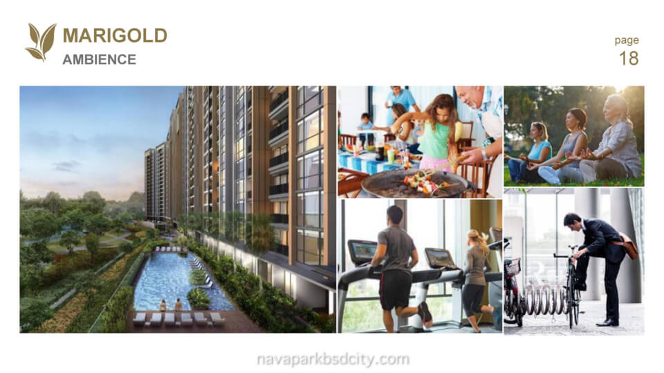 Marigold NavaPark BSD Marigold NavaPark BSD