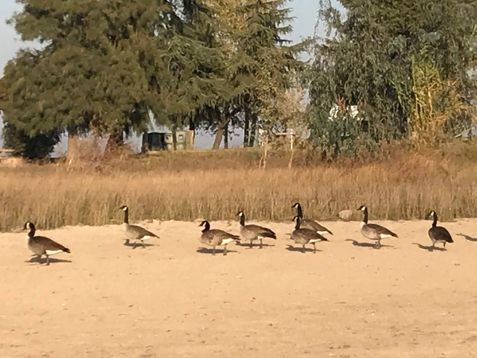 Margy Meanders Snowbird RV Adventure Part 1 Travis AFB to Woodward